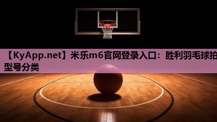 胜利羽毛球拍型号分类 胜利羽毛球拍型号分类