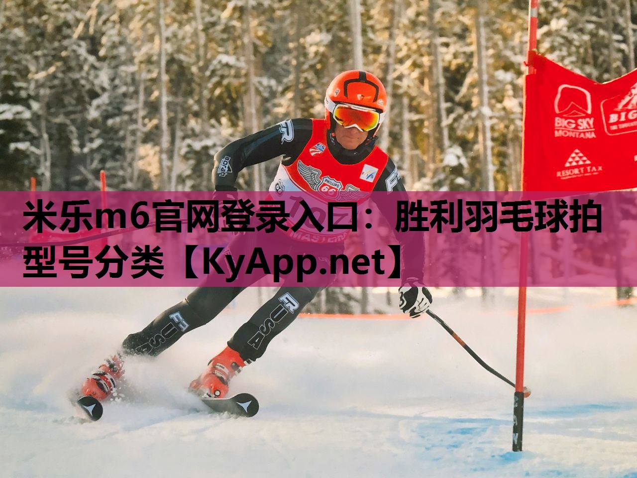 胜利羽毛球拍型号分类 胜利羽毛球拍型号分类